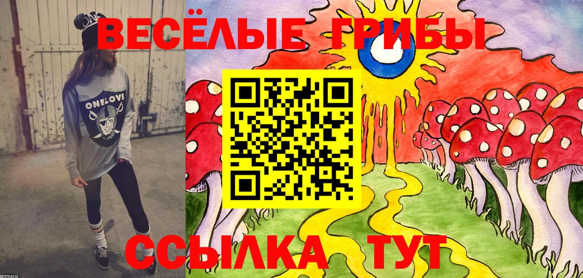 Галлюциногенные грибы MAGIC MUSHROOMS  Вход с VPN  Канаш  Галлюциногенные грибы мицелий 